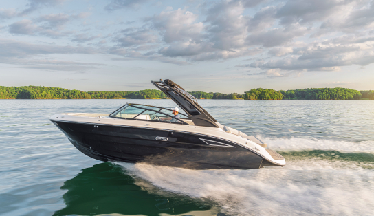 Sea Ray SDX 250