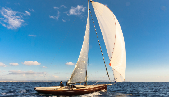 Wally Wallynano 37
