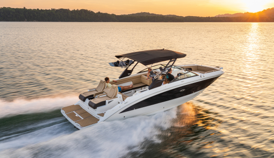 Sea Ray SDX 290